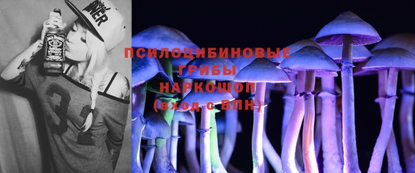 PSILOCYBIN Дмитров