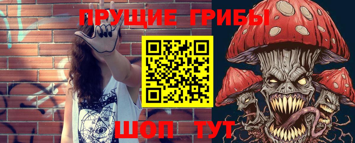 Псилоцибиновые грибы Psilocybe  Лобня  Псилоцибиновые грибы Cubensis 