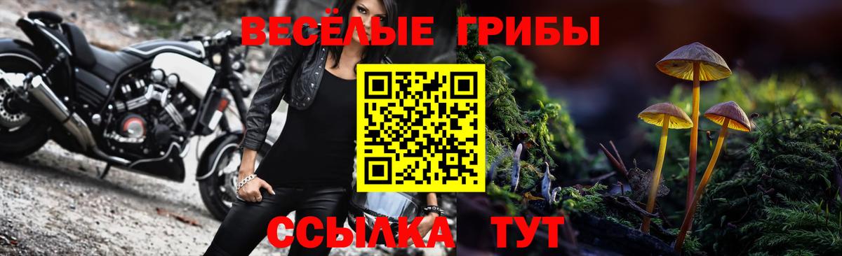 Галлюциногенные грибы Лобня