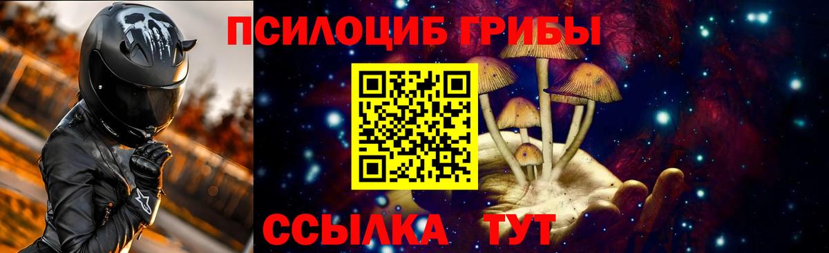 Галлюциногенные грибы Psilocybine cubensis  Вход с VPN  Лобня 